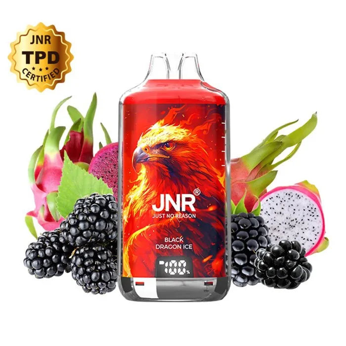 JNR - Kit Black Dragon Ice 28000 puffs 2X10ml - Falcon-X